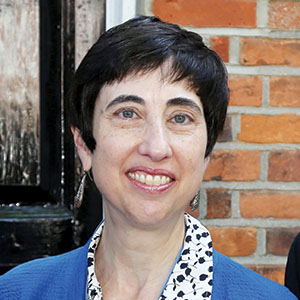 Susan Scarrow, Comparative Politics Series